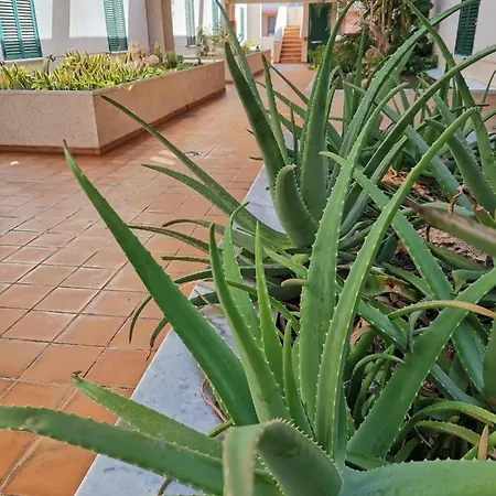 Balancon Pool * אל מדאנו